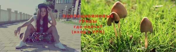 стафф Пересвет